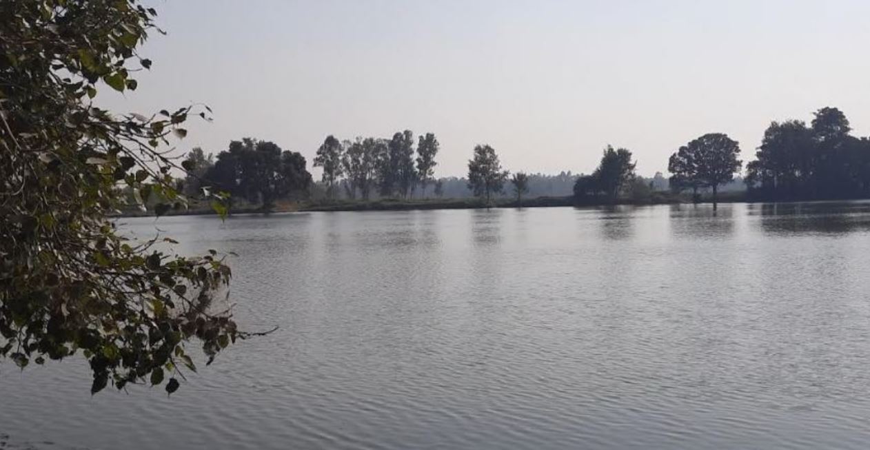 मानव–वन्यजन्तु द्वन्द्व व्यवस्थापन गर्न पोखरी निर्माण